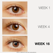 Load image into Gallery viewer, Lashfood - Eyelash Enhancing Serum 3mL