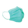 Load image into Gallery viewer, Aurelia Disposable Mask