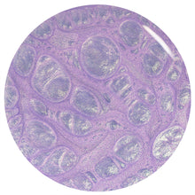 Load image into Gallery viewer, Orly Nail Polish - Rollin With My Homies (Winter 25)